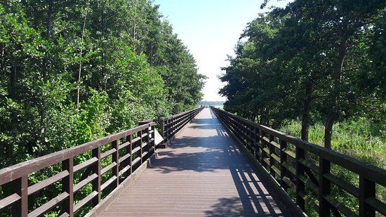 Kąpiele słoneczne na plaży
